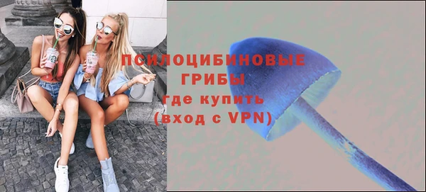 apvp Покров