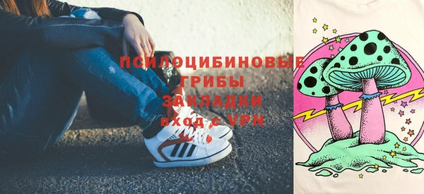 ешки Протвино