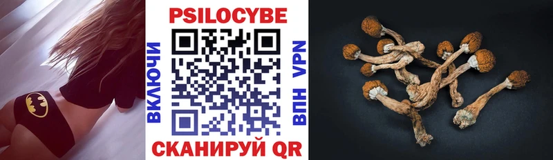 Галлюциногенные грибы Cubensis  Багратионовск 